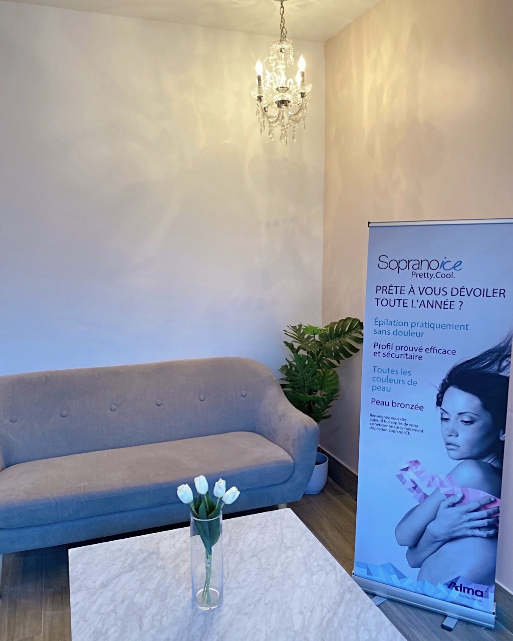 Salon Důvěra | 119 Boul Henri-Bourassa E, Montréal, QC H3L 1B6, Canada | Phone: (514) 382-2381