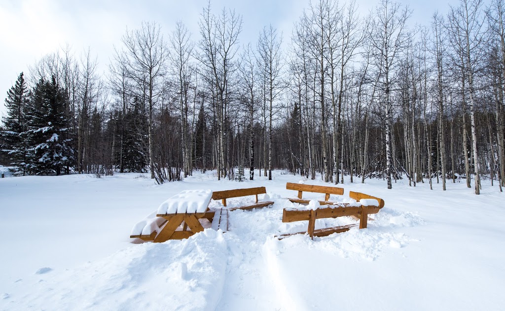 HI Kananaskis Wilderness Hostel | 1 Ribbon Creek Rd, Kananaskis, AB T0L 2H0, Canada | Phone: (866) 762-4122