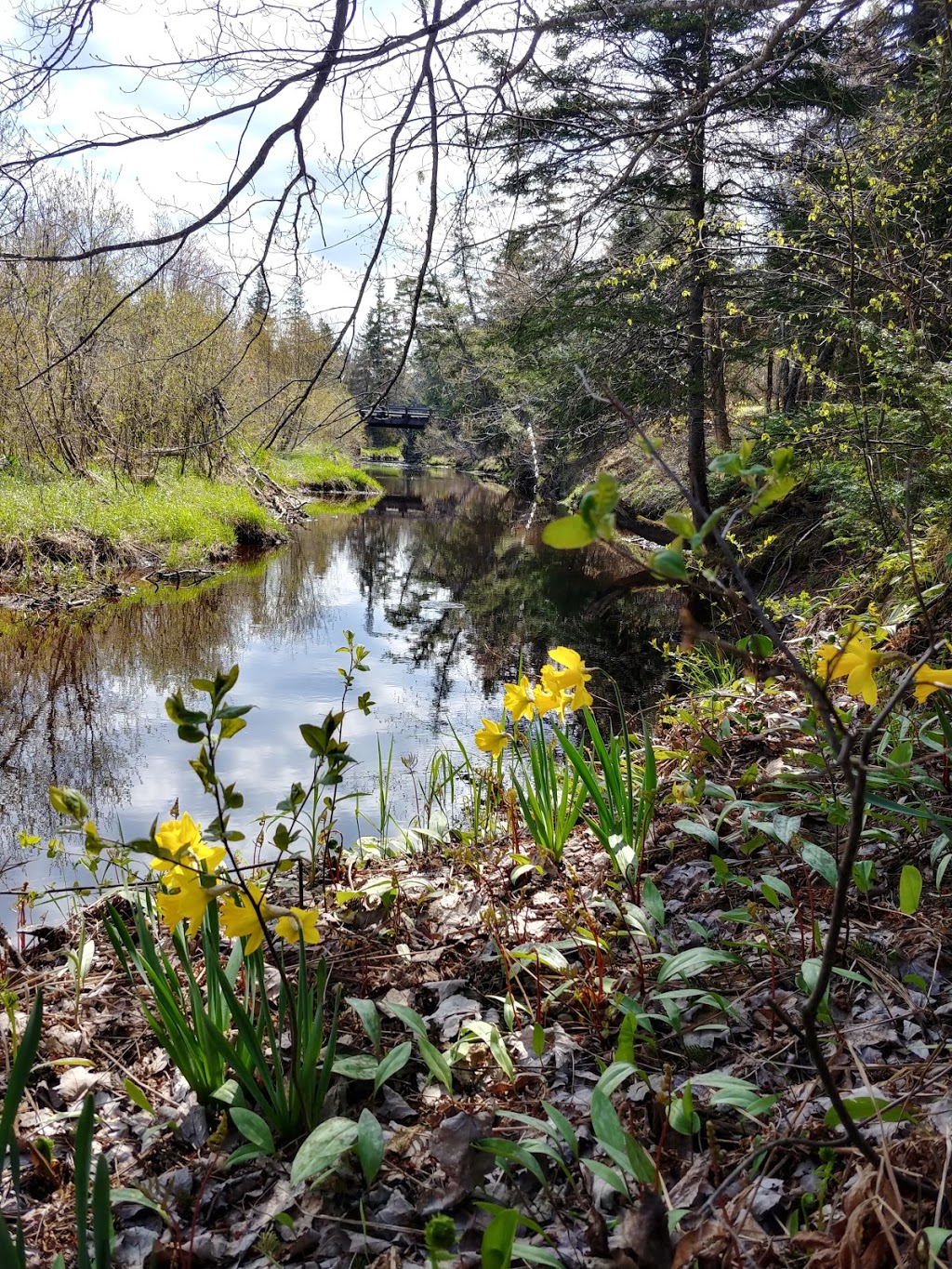 Ashtons Garden Centre | 125 Upper River John Rd, Tatamagouche, NS B0K 1V0, Canada | Phone: (902) 324-3429
