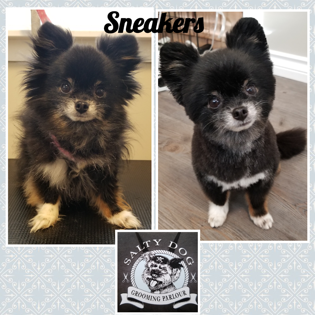 Salty Dog Grooming Parlour | point of interest | 1010 Keith Dr S, Gabriola, BC V0R 1X2, Canada | 2506160530 OR +1 250-616-0530