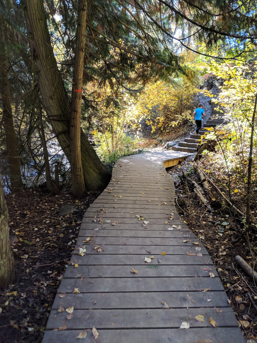 Mill Creek Regional Park | 6310 Spencer Rd, Kelowna, BC V1X 7T7, Canada | Phone: (250) 763-4918