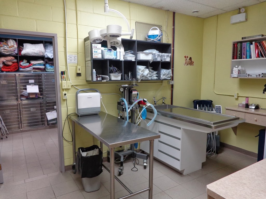 Clinique Vétérinaire de Coaticook | 490 Rue Main O, Coaticook, QC J1A 1P9, Canada | Phone: (819) 849-4865