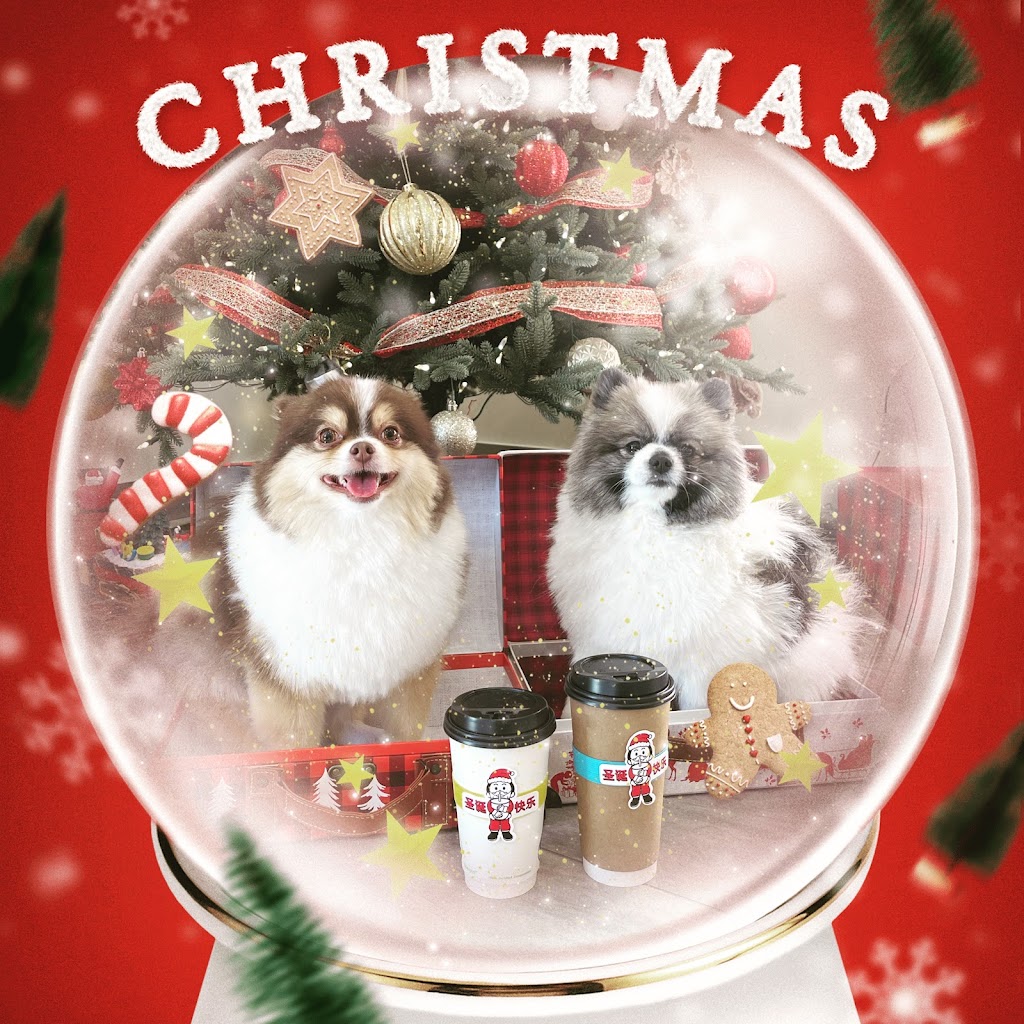 Chewgurt Yummy | 1224 Centre St N, Calgary, AB T2E 2R4, Canada | Phone: (587) 316-8895