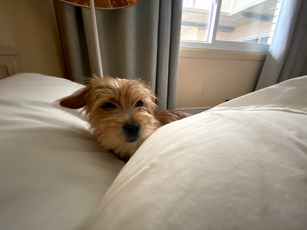 Lake City Motel | 40 Lakecrest Dr, Dartmouth, NS B2X 1V1, Canada | Phone: (902) 435-0060