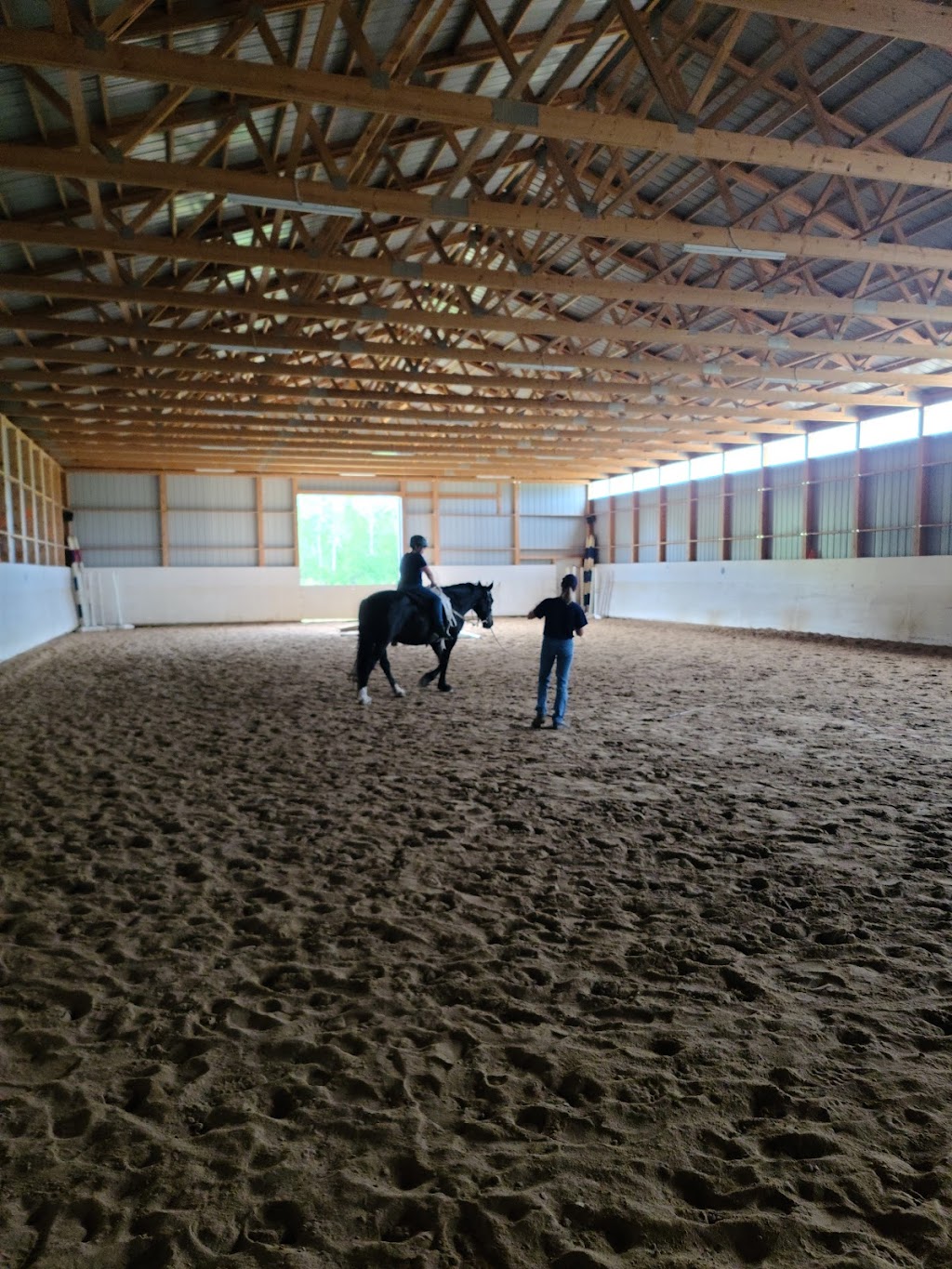 Classical Equitation | Rd 13E, Fraserwood, MB R0C 1A0, Canada | Phone: (204) 641-4268