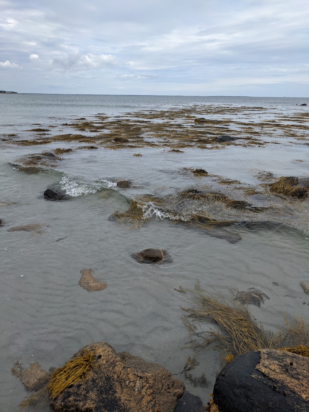 Stoney Island Beach | Kenny Rd, Clarks Harbour, NS B0W 1P0, Canada | Phone: (902) 903-0494