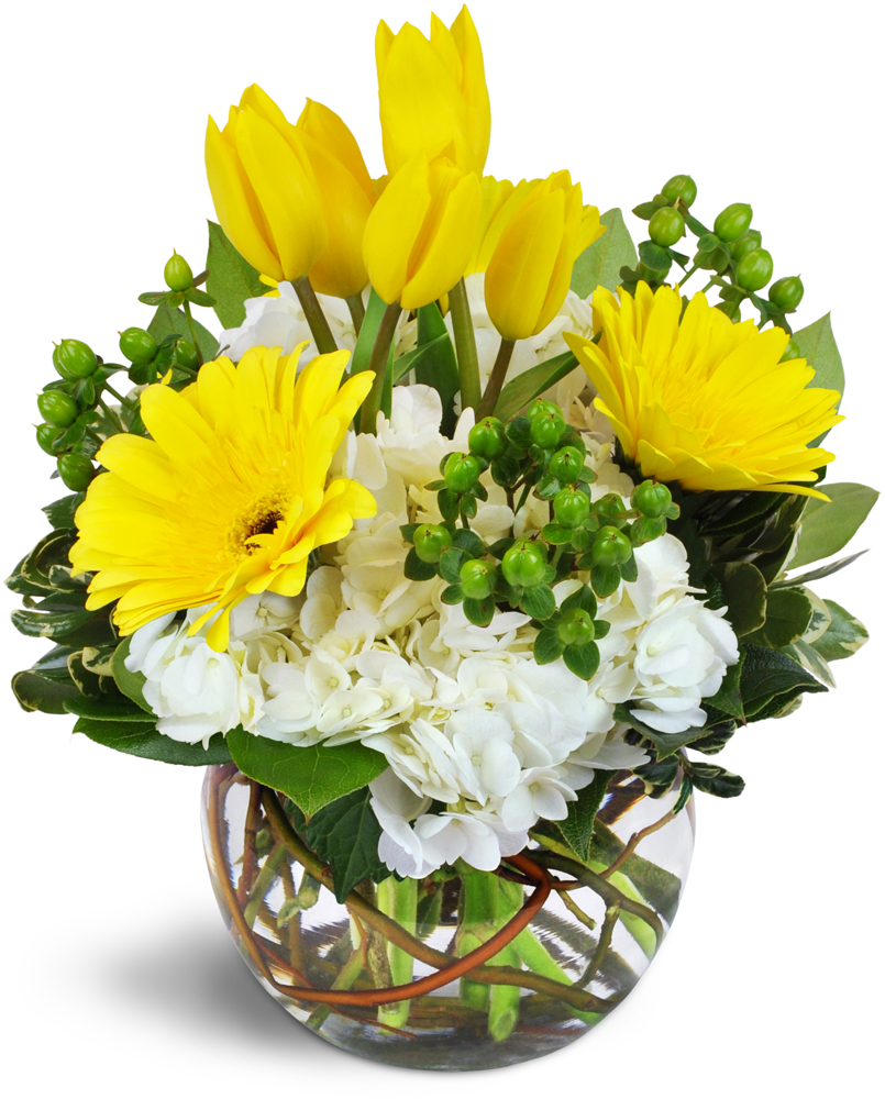 Mostly Roses & Natures Rose Inc. | 6923 Steeles Ave W #58, Etobicoke, ON M9W 6T6, Canada | Phone: (416) 365-7673