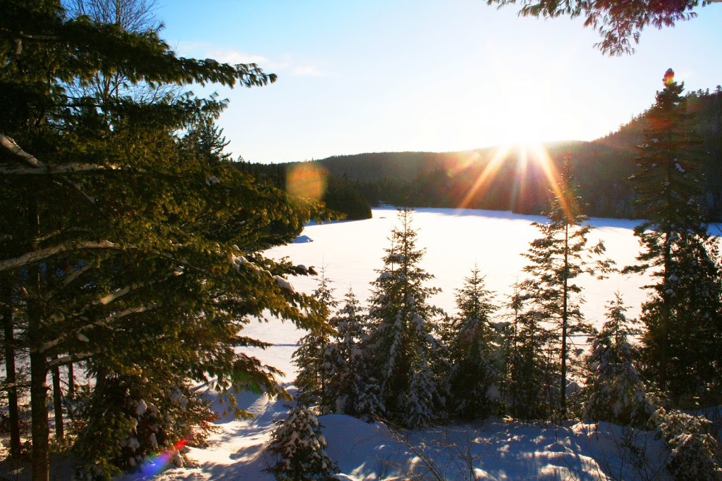 Lac Bruneau | 566 Chemin du Lac-Bruneau, Saint-Côme, QC J0K 2B0, Canada | Phone: (514) 622-1626