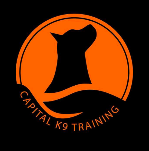 Capital K9 | 1600 Forest Valley Dr #4, Orléans, ON K1C 6X7, Canada | Phone: (613) 902-5699