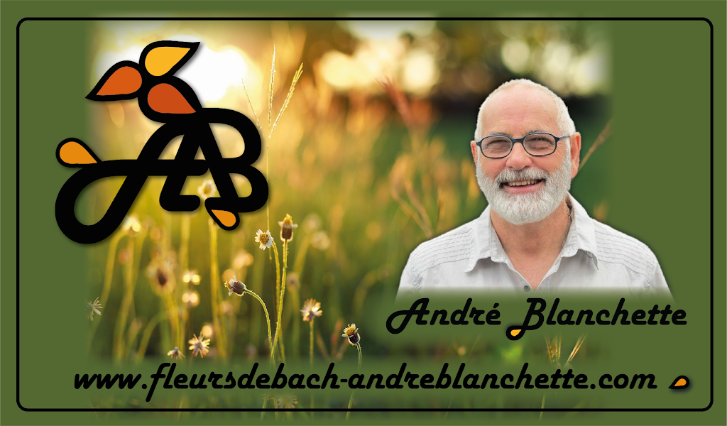 André Blanchette | 4073 Route Marie Victorin, Saint-Robert, QC J0G 1S0, Canada | Phone: (450) 954-0795