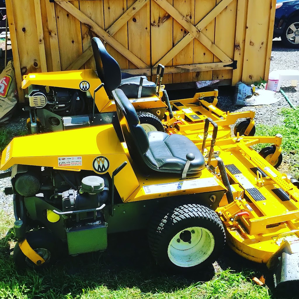 Metcalfe Grasshopper | 8191 Victoria St, Metcalfe, ON K0A 2P0, Canada | Phone: (613) 316-5224