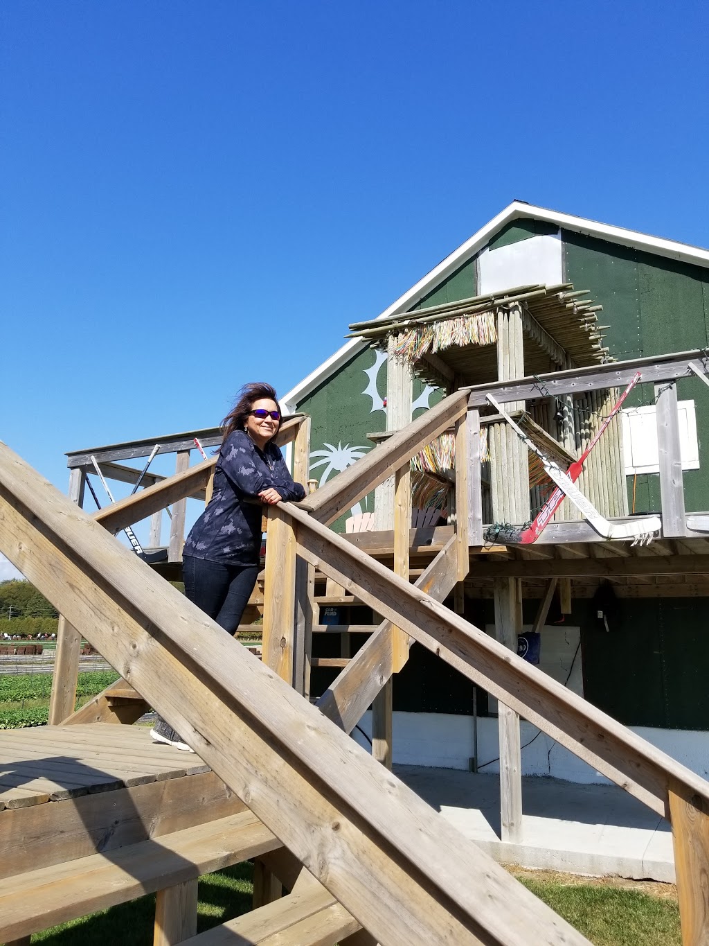 E Z Grow Farms Ltd | 1771 Norfolk County Rd 23, Langton, ON N0E 1G0, Canada | Phone: (519) 875-4751