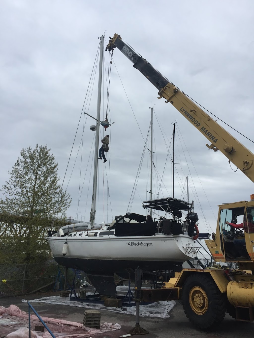 Steve White Rigging | 153 Liberty Hall Ln, Salt Spring Island, BC V8K 2H1, Canada | Phone: (604) 250-2381