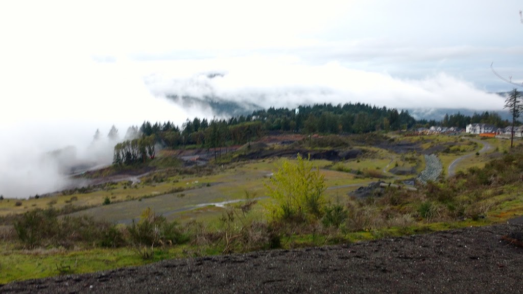 Simon Warne Artist & Designer | 1245 Kingsview Rd, Duncan, BC V9L 0B3, Canada | Phone: (250) 533-9081