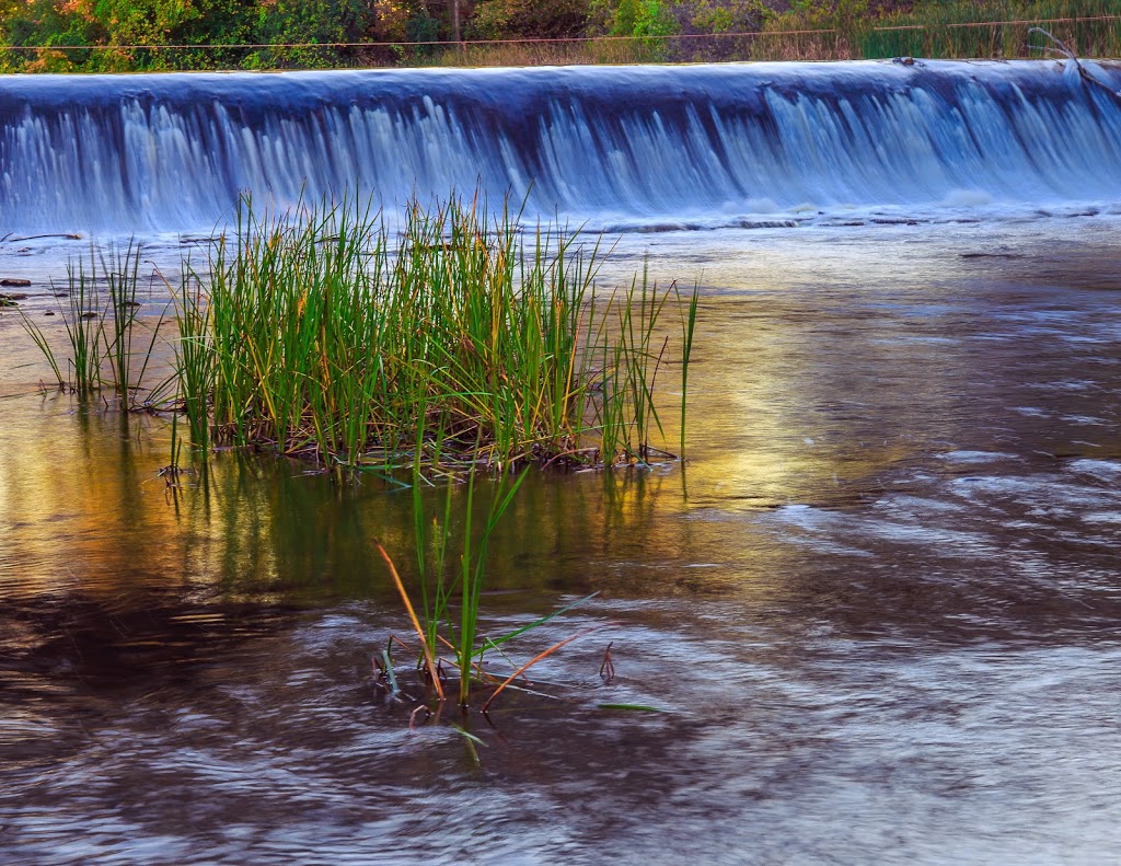 Mill Pond Park | 133 High St, Georgina, ON L0E, Canada