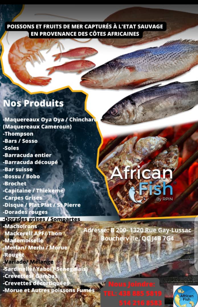 African fish | 1522 Rue Jean-Lachaîne, Sainte-Catherine, QC J5C 1C2, Canada | Phone: (581) 745-2579