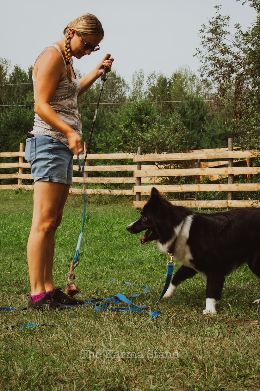 Outrun Animal Rescue and Rehabilitation Center | 998089 Mulmur Tosorontio Townline, Lisle, ON L0M 1M0, Canada | Phone: (705) 717-2761