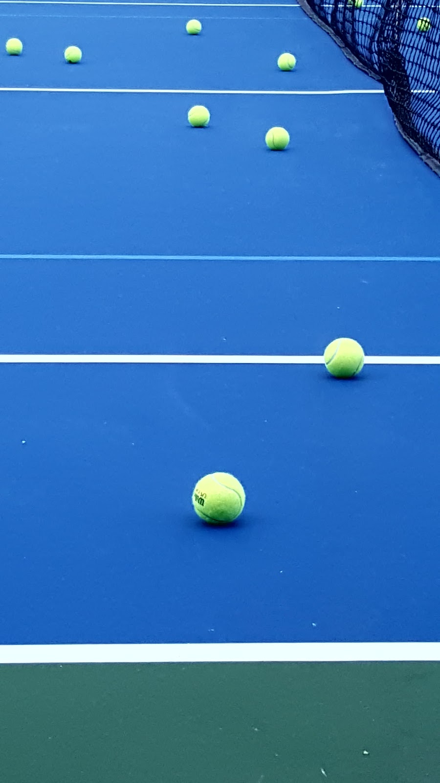 Bellingham Training & Tennis Club | 800 McKenzie Ave, Bellingham, WA 98225, USA | Phone: (360) 733-5050
