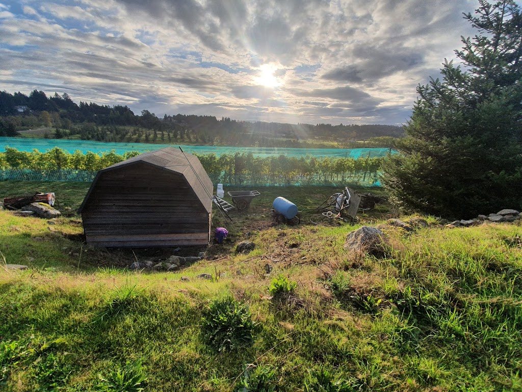 Mount Newton Seed Orchard | 1450 Mt Newton Cross Rd, Saanichton, BC V8M 1S1, Canada | Phone: (250) 652-4211
