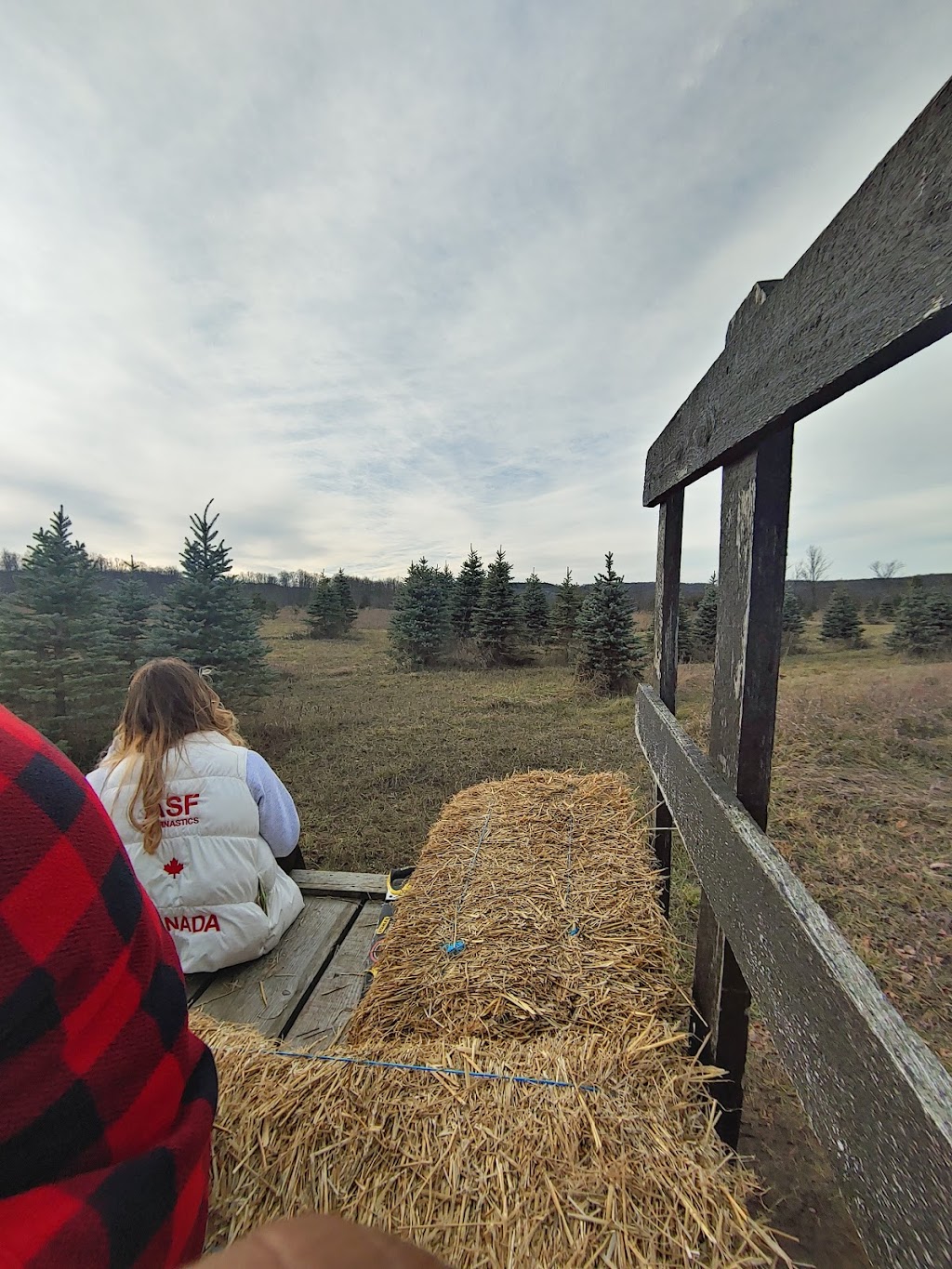 Hockley Valley Farm | 307509 Hockley Rd, Mono, ON L9W 6M9, Canada | Phone: (905) 715-0520