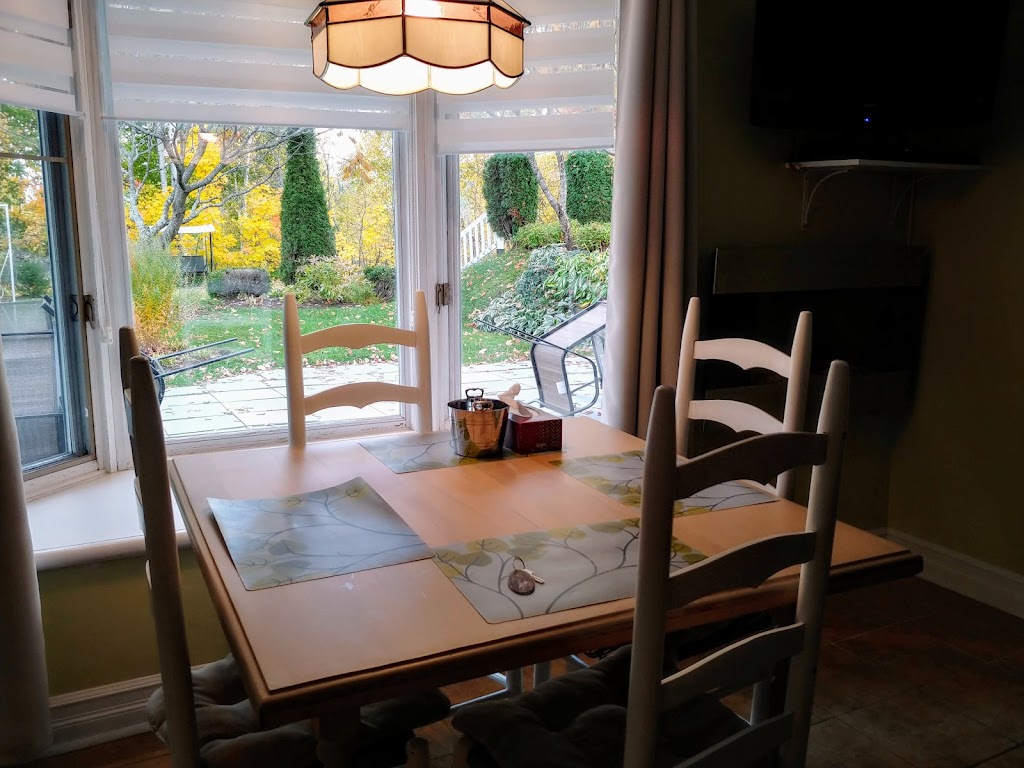 Studios Du Vacancier | 527 Rue Principale, Saint-Donat-de-Montcalm, QC J0T 2C0, Canada | Phone: (819) 424-3933