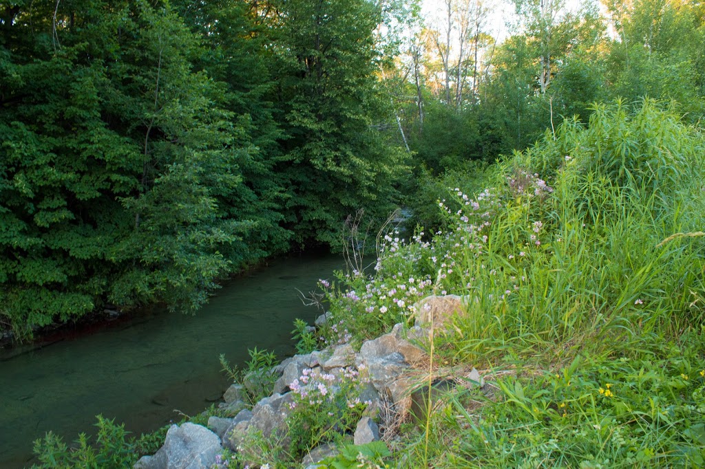 George C Brown Park | 2346 Rembrandt Rd, Ottawa, ON K2B 7P5, Canada | Phone: (613) 580-2595