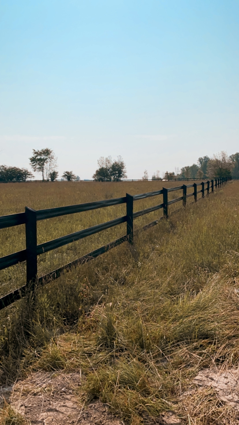 Talloway Farm | 7157 Road 129, Newton, ON N0K 1R0, Canada | Phone: (519) 820-6020
