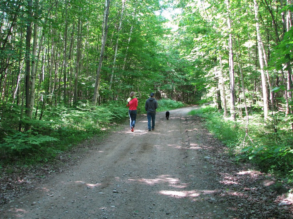 Trail head, Wilberforce: Prospector Trail | School Rd, Wilberforce, ON K0L 3C0, Canada | Phone: (705) 448-2981