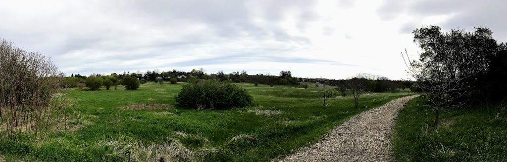 German Mills Meadow and Natural Habitat | 2001 John St, Markham, ON L3T, Canada | Phone: (905) 415-7535