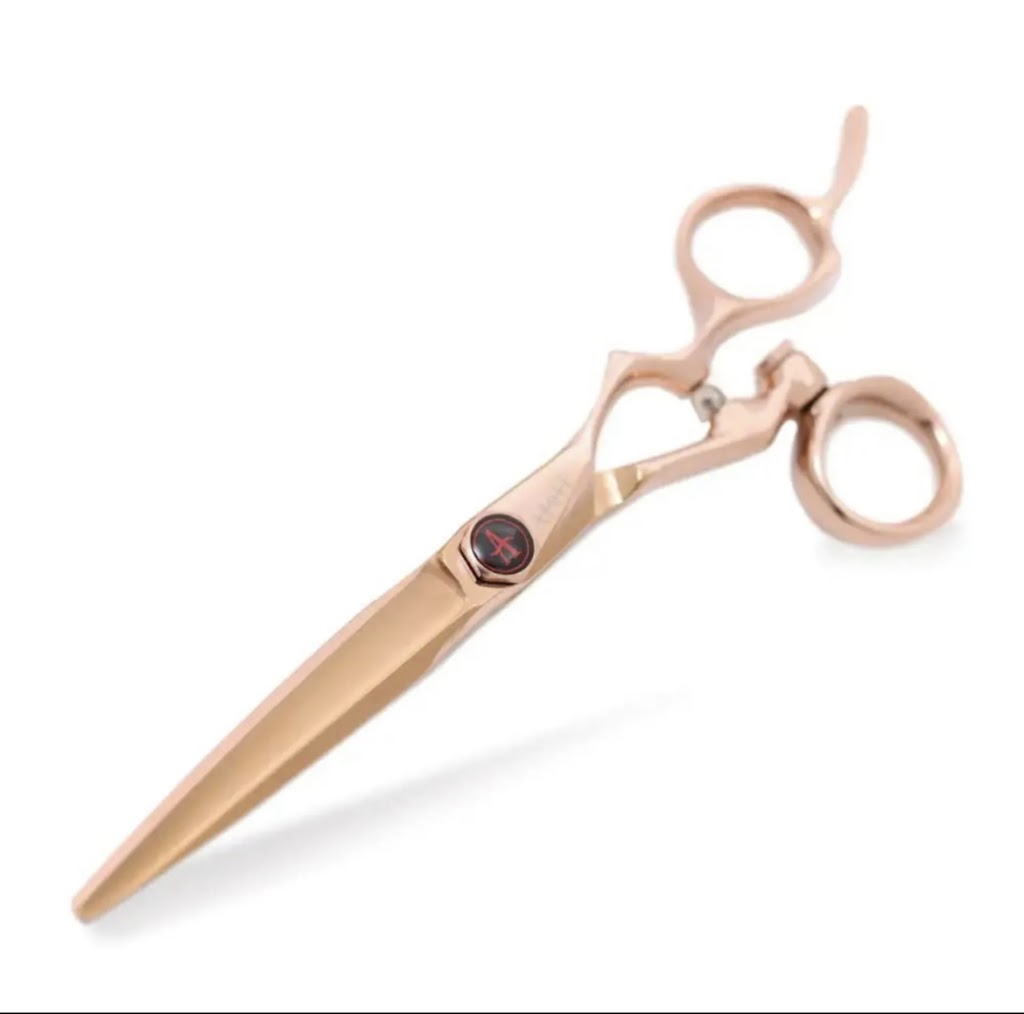 Simon Belanger (Scissors Master) aiguisage ciseaux de coiffure | 1285 Rue Godin, Joliette, QC J6E 8V6, Canada | Phone: (450) 368-6718