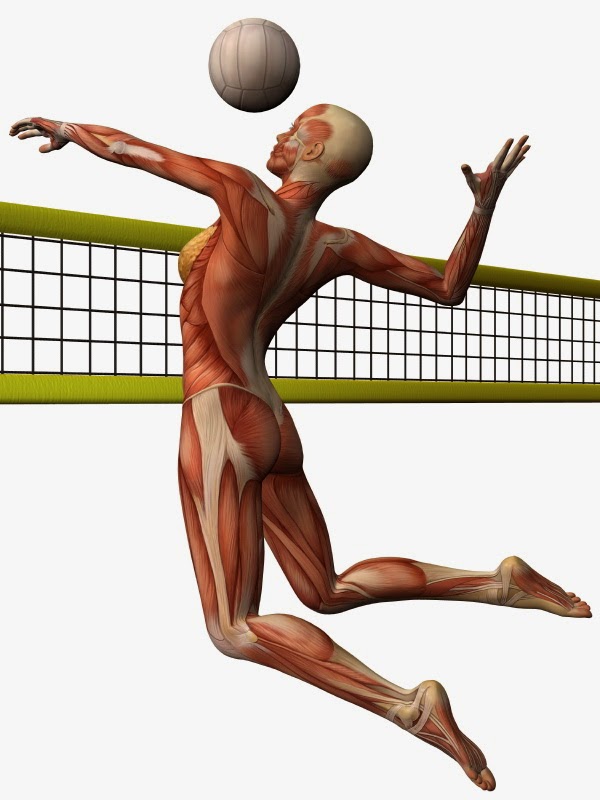 Body Blueprint Fitness Education | 987 Mcbriar Ave, Victoria, BC V8X 3M3, Canada | Phone: (778) 433-8884