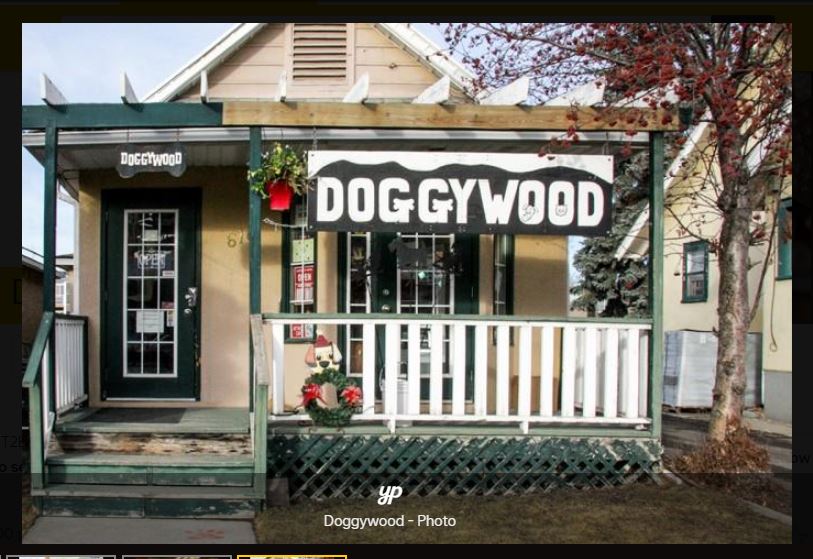 Doggywood Limited | pet store | 616 1 Ave NE, Calgary, AB T2E 0B6, Canada | 4032293647 OR +1 403-229-3647