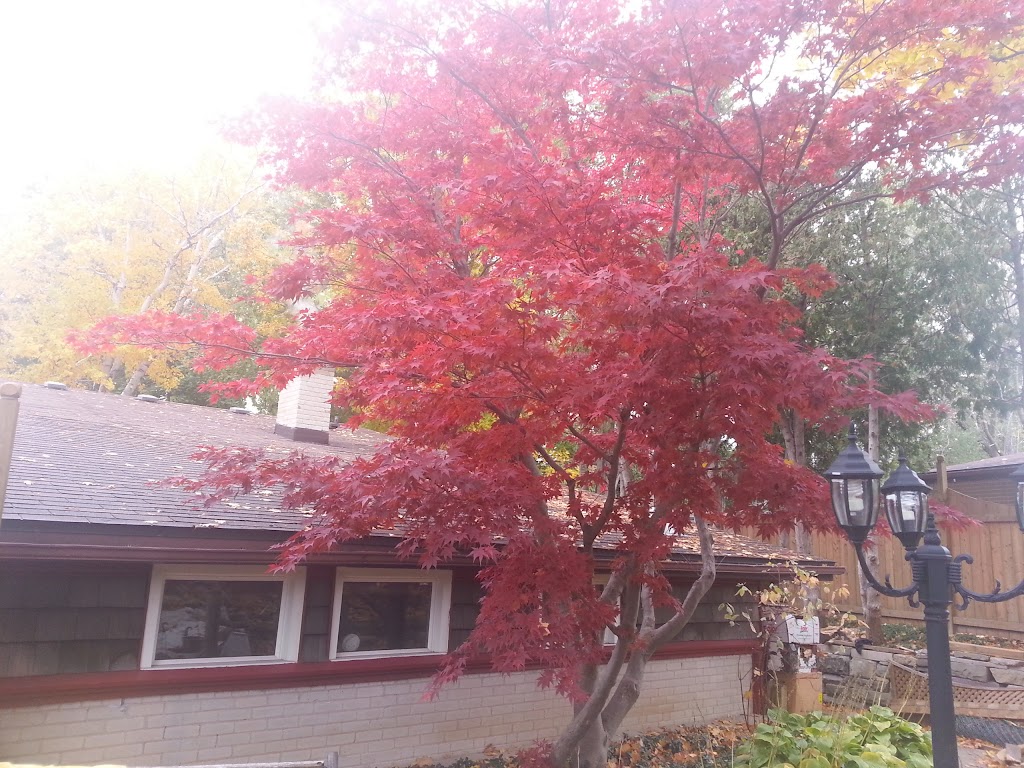 Home Safe Home | 17 Aveline Cres, Scarborough, ON M1H 2P4, Canada | Phone: (416) 391-1357