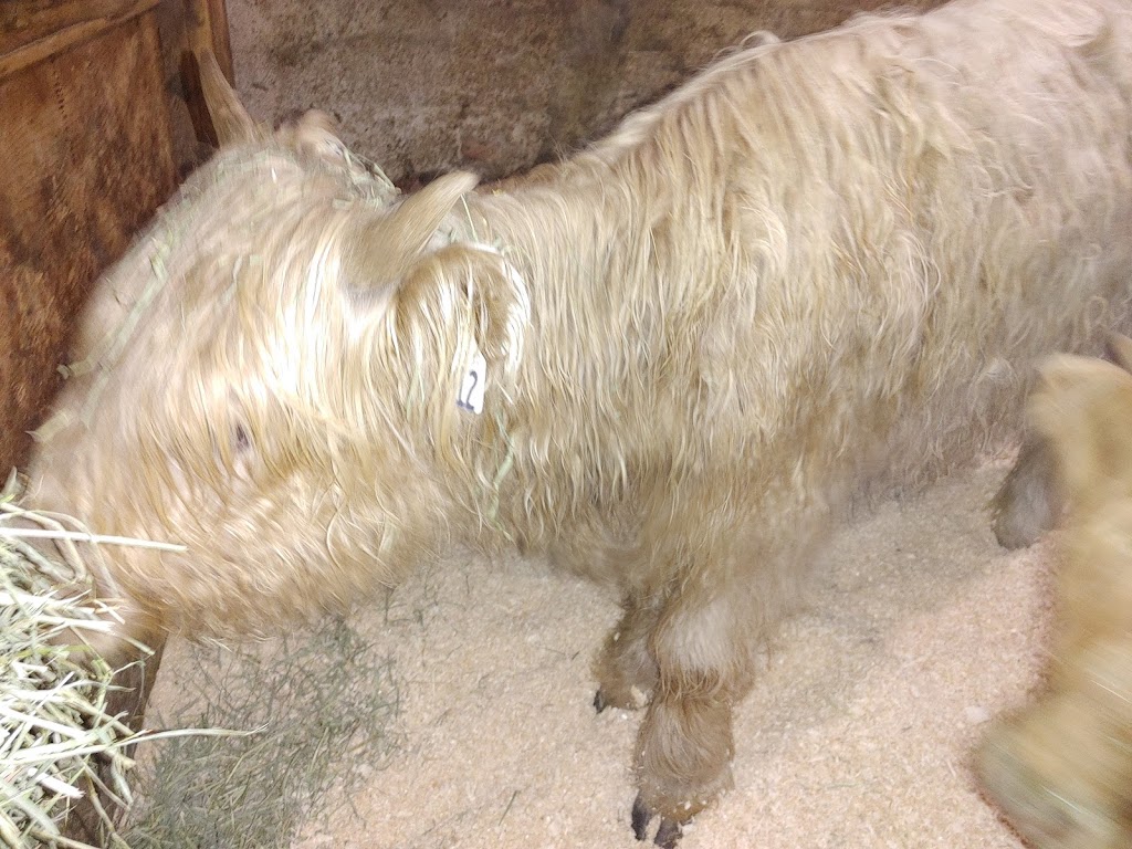 Ferme Beauvais S.E.N.C. | 3271 Rang St André, Saint-Cuthbert, QC J0K 2C0, Canada | Phone: (514) 249-9970