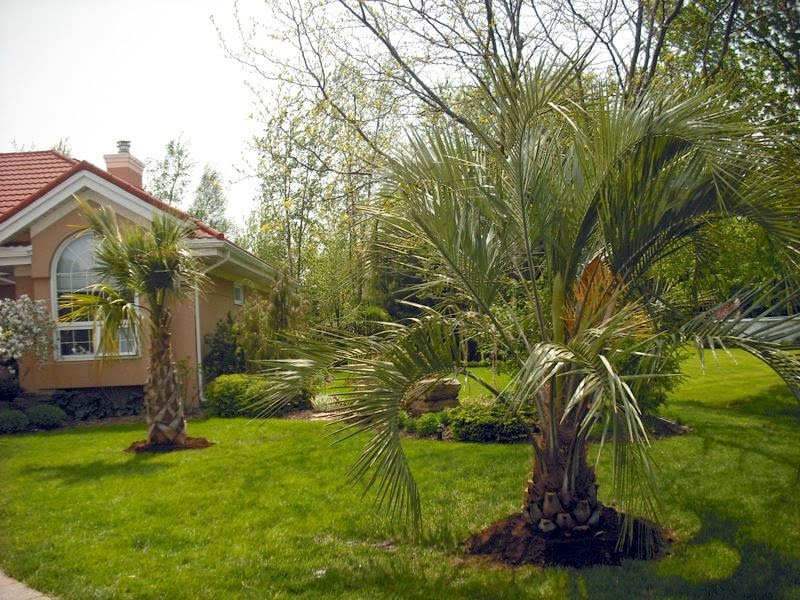 Expression tropicale | 13275 Côte des Anges, Mirabel, QC J7N 2G6, Canada | Phone: (514) 805-5238