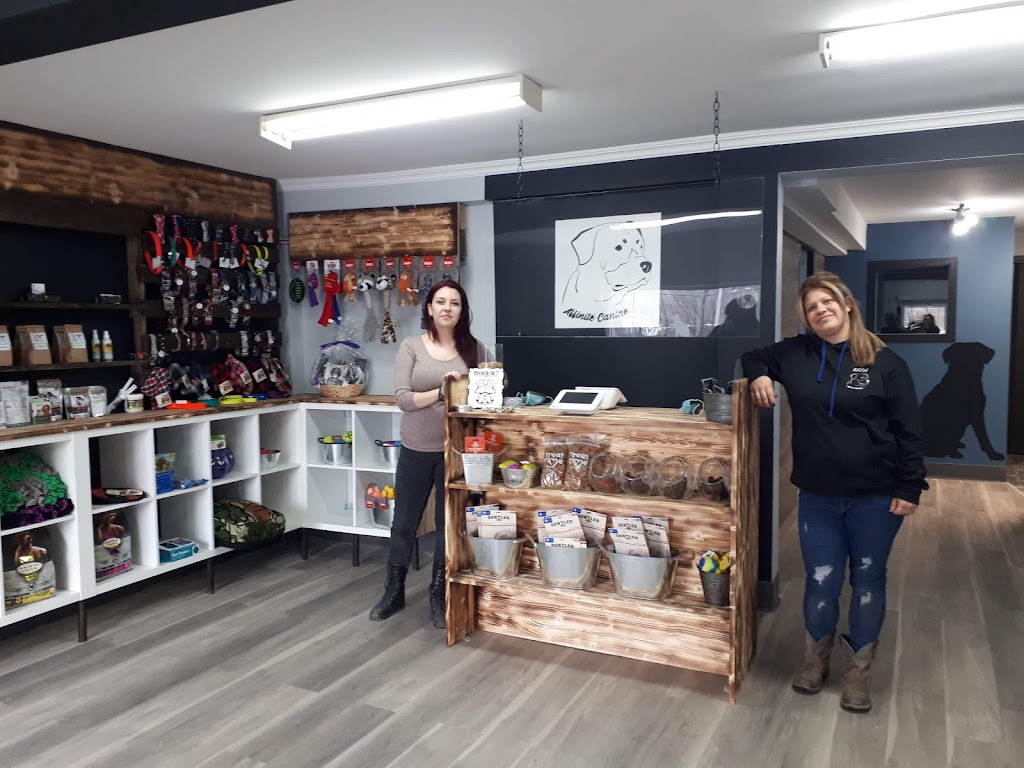 Affinité Canine | 2728 Bd du Curé-Labelle, Prévost, QC J0R 1T0, Canada | Phone: (450) 335-0584