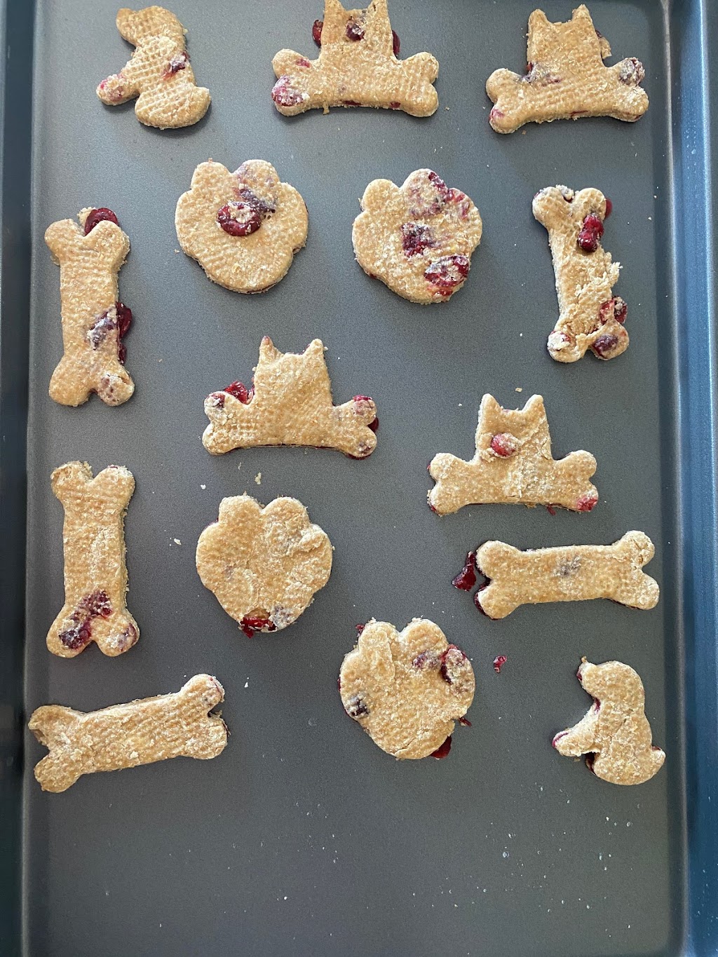 Small Paws Bakery | SK-19, Elbow, SK S0H 1J0, Canada | Phone: (306) 860-7037