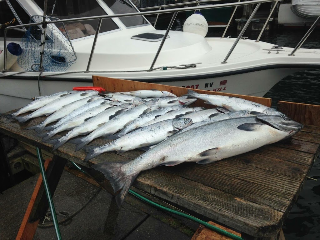 Catchmore Charters | 2011 Skyline Way, Anacortes, WA 98221, USA | Phone: (360) 293-7093