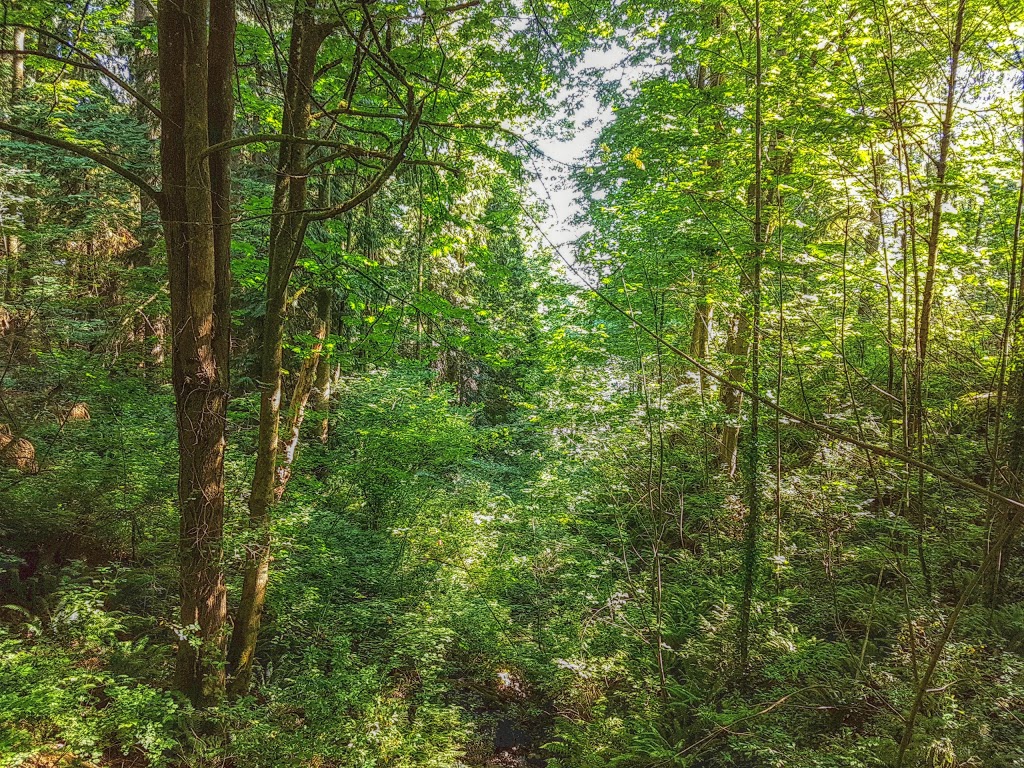 Burnaby 200 Conservation Area | 8401 Broadway, Burnaby, BC V5A 3V2, Canada | Phone: (604) 294-7450