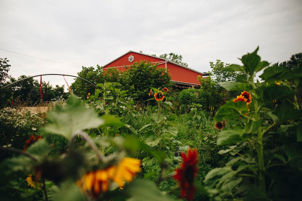 Manorun Organic Farm | 782 Hamilton Regional Rd 52, Lynden, ON L0R 1T0, Canada | Phone: (905) 648-9608
