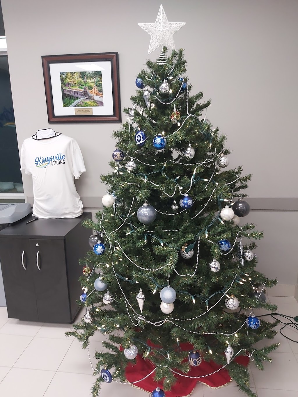 Kingsville Townhall | 2021 Division Rd, Kingsville, ON N9Y 2Y9, Canada | Phone: (519) 733-2305