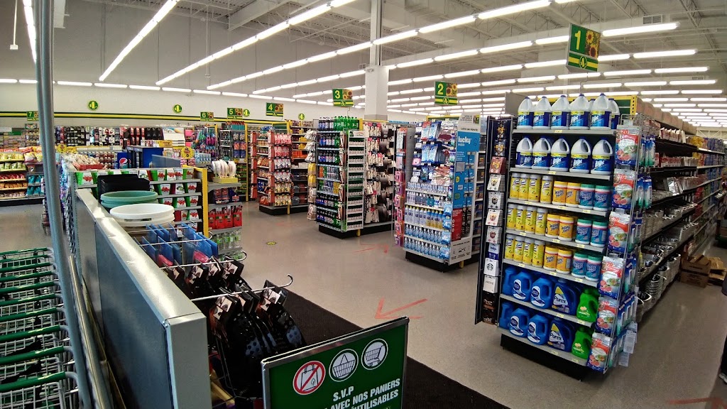 Dollarama | 100 Bd Jacques Bizard, LÎle-Bizard-Sainte-Geneviève, QC H9C 2T9, Canada | Phone: (514) 696-7680