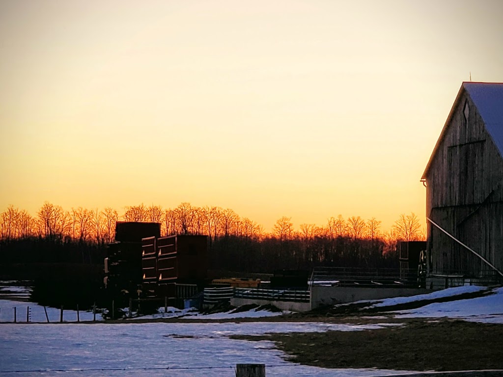 Southway Bins Inc. | 132921 Southgate Sideroad 13, Proton Station, ON N0C 1L0, Canada | Phone: (519) 589-7635