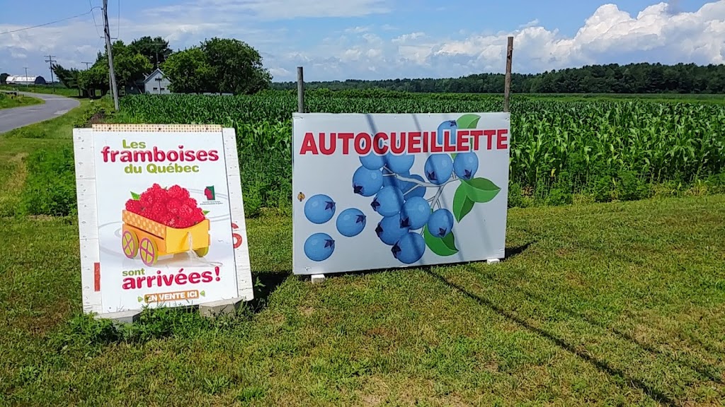 Pick-your-own Petits Délices farm for strawberries raspberries blueberries | 830 Rang du Haut de la Rivière, Pierreville, QC J0G 1J0, Canada | Phone: (450) 568-3360