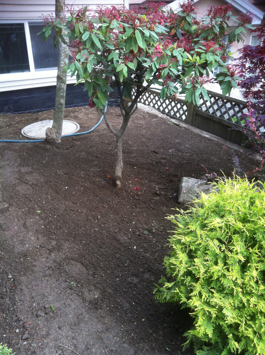 Westside Drainage Ladner / Tsawwassen | Admiral Way, Delta, BC V4K 0C3, Canada | Phone: (778) 846-5539