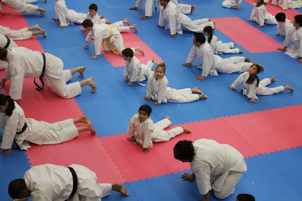 KimNik Shotokan Karate Academy | 8736 216 St, Langley City, BC V1M 2X9, Canada | Phone: (778) 240-4142