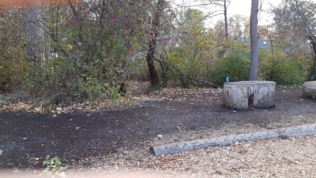 Cook Street Playground and Outdoor Fitness Circuit | 100 Cook St, Leonard St, Victoria, BC V8V, Canada | Phone: (250) 361-0600