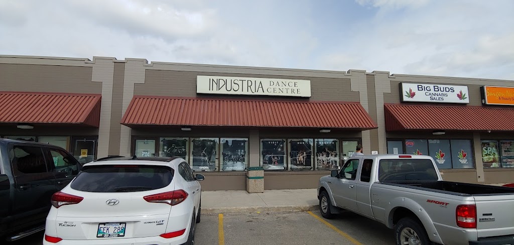 Industria Dance Centre | 3025 Ness Ave, Winnipeg, MB R2Y 2J2, Canada | Phone: (204) 297-5359