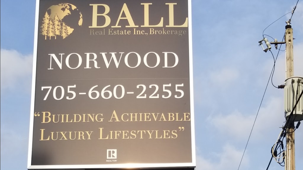 Michael Pettler - BALL Real Estate Inc. - Norwood | 4244 Hwy 7, Norwood, ON K0L 2V0, Canada | Phone: (613) 902-0066
