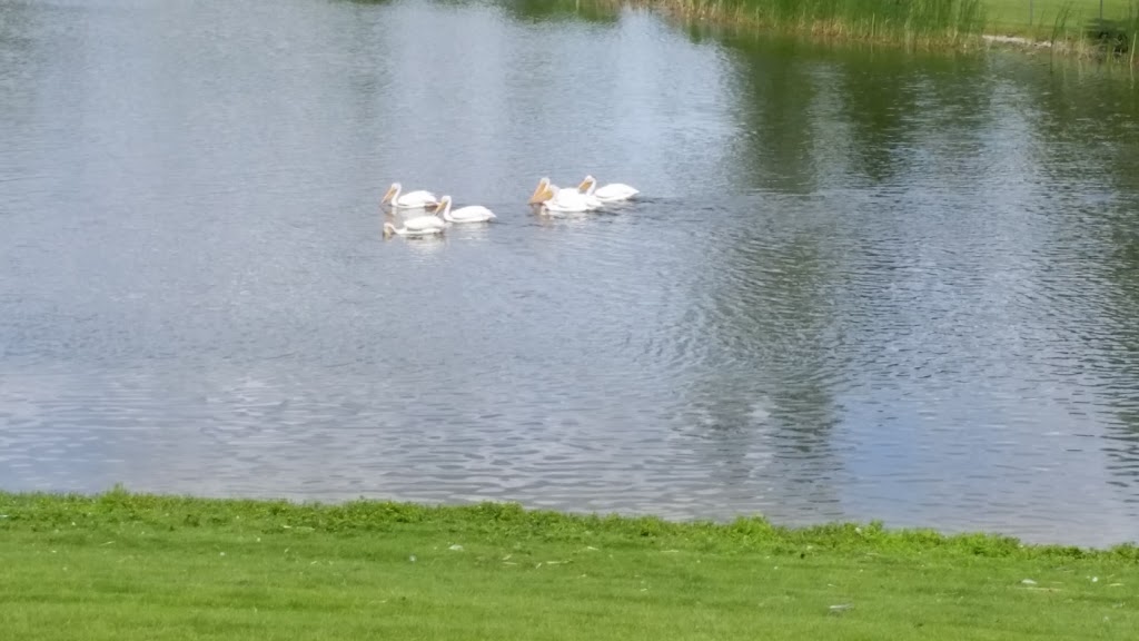 Scurfield Park | Whyte Ridge, Winnipeg, MB R3Y, Canada